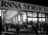 RSNA2008-初めてのRSNA見学（シカゴ）